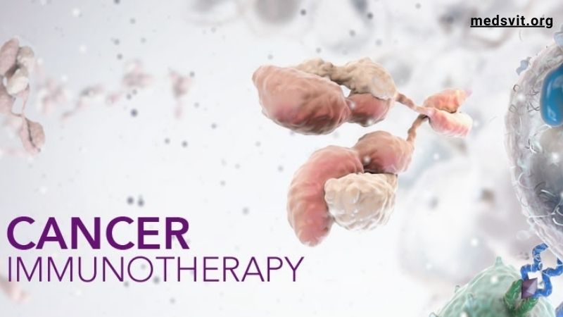 Lung Cancer Research Studies: Immunotherapy and Targeted Therapies