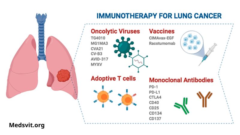 Immunotherapy: Unleashing the Power of the Immune System