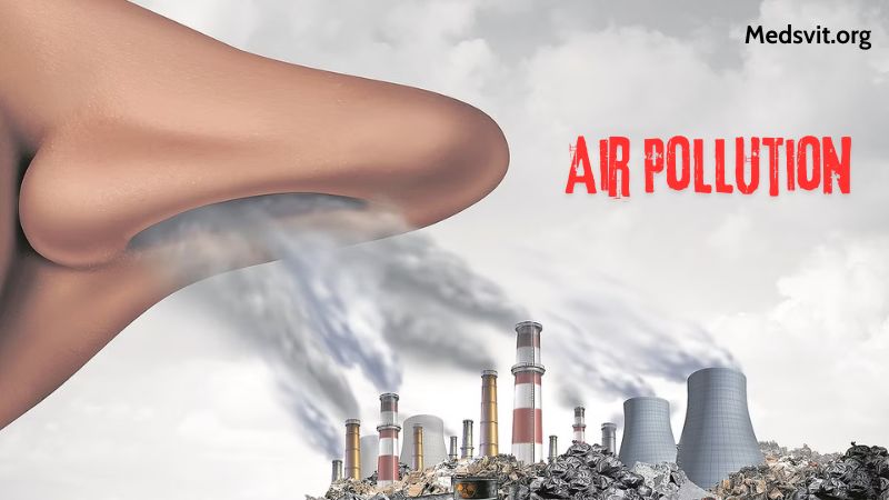 Air Pollution and Lung Cancer Risk